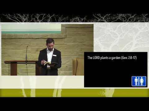 2023 01 29 Sun PM   Shawn Montandon