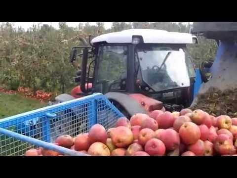 download lagu mp3 mp4 Apple Harvester For Sale, download lagu Apple Harvester For Sale gratis, unduh video klip Apple Harvester For Sale