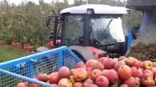 preview picture of video 'SFM Apple Harvester Sabre II'