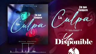 Tu No Tienes La Culpa - (Audio Oficial) - Ulices Chaidez - DEL Records 2020
