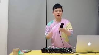 Bjork- Unison ( RC505 live loop)