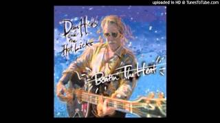 Dan Hicks & His Hot Licks - I Don't Want Love