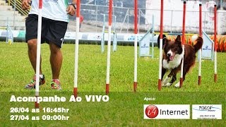 preview picture of video 'Campeonato Mineiro de Agility - Delfinópolis 2014'