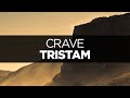[LYRICS] Tristam - Crave 