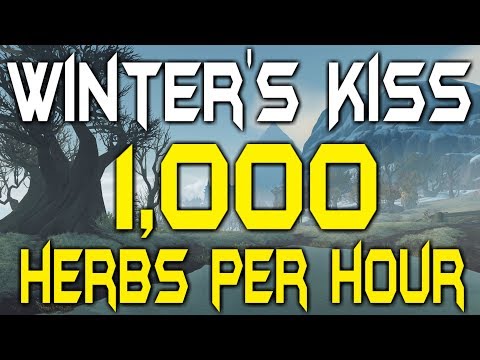 1000+ Herbs Per Hour! - Winters Kiss - WoW BFA Gold Farm