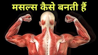 gym जाने से मसल्स कैस�