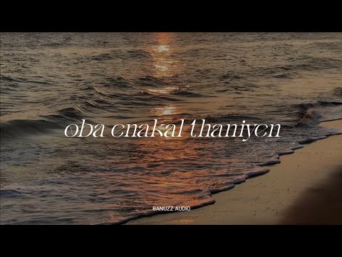 Oba Enakal ( Slowed + Reverb ) | Banuzz Audio
