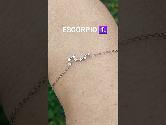 Vídeo relacionado con LONYOO Acero Inoxidable Escorpión Collar Escorpio Regalos Para Mujeres Niñas 18k Chapado En Oro Joyería Bug Colgante Collares Astrología Regalos (Oro)