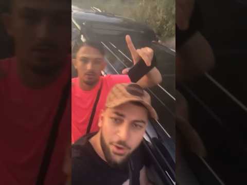 SONNENTANZ — Shabab x Baré x Bayor