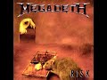 Megadeth%20-%20Ecstasy
