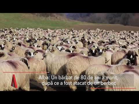 Stiri Mediafax  19 August - Agresorul din spital, internat iar la Psihiatrie