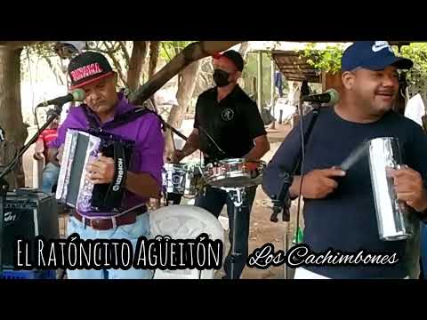 EL RATONCITO AGUEITON (EN VIVO) - LOS CACHIMBONES