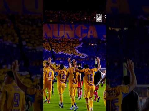 "" Barra: Libres y Lokos &bull; Club: Tigres