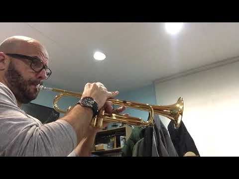 Escuchar, leer y tocar vol.1, Duduá (track 31)- trompeta