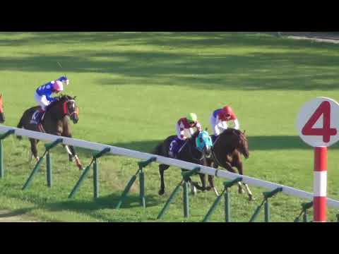 2019 第21回  中山グランドジャンプJ・GⅠ ウィニングラン 現地映像 オジュウチョウサン