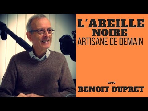 Les abeilles noires, artisanes de notre avenir