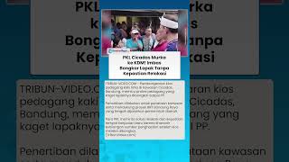 KDM DIAMUK PKL Cidadas! Imbas Bongkar Lapak Jualan Demi BRT Tanpa Kepastian Relokasi