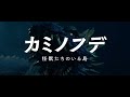 映画『カミノフデ ～怪獣たちのいる島～』特報