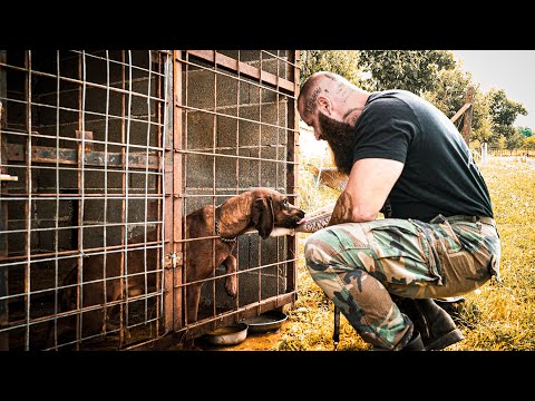 Jagdhund aus Boxenhaltung gerettet