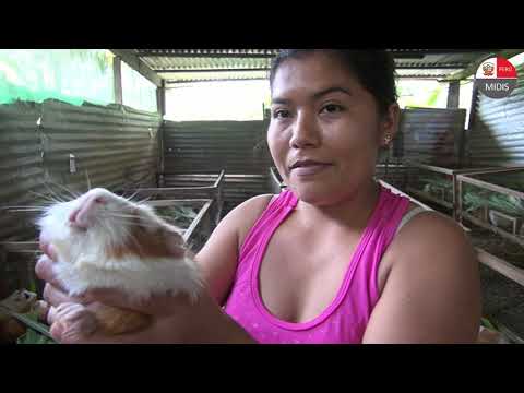 , video de YouTube