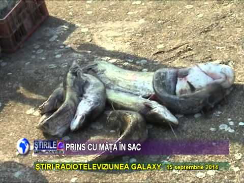 ACTIUNEA PESTELE LA FRONTIERA MEHEDINTI