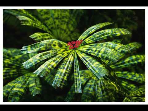 Khaii - Life is Worth Livin'