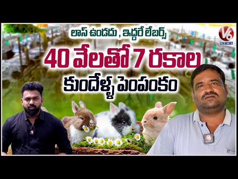 Low-Investment Rabbit Farming Success Story from Koheda | Profits, Marketing & Issues Explained | V6