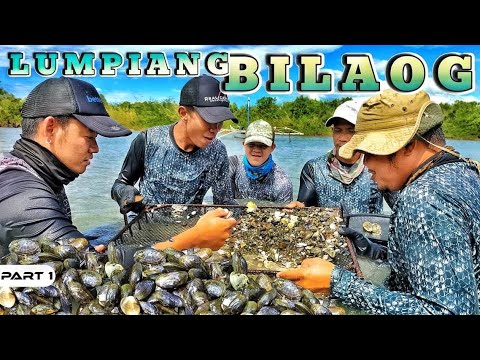 EP911-P1 - Lumpiang Bilaog