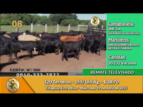 19-04-17 - Venta de Invernada - Remate Televisado de UMC & Haciendas Villaguay - Entre Ríos