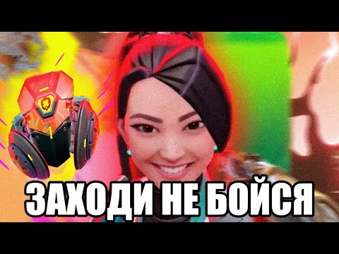 Осаго для новичков 2023