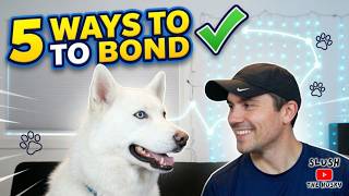 5 Fun Ways to INSTANTLY Improve Your Bond with Your Dog!