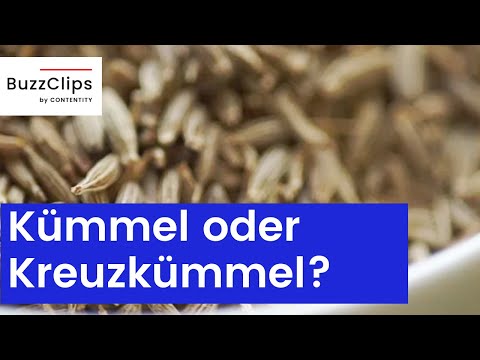 Was ist der Unterschied zwischen Kümmel und Kreuzkümmel?