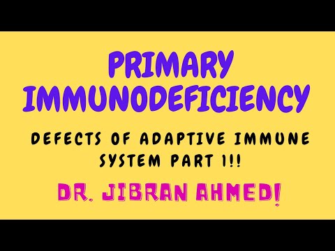 HIV PART 3 II CHAP 6 II ROBBINS 10TH E PATHOLOGY LECTURES II IMMUNE SYSTEM