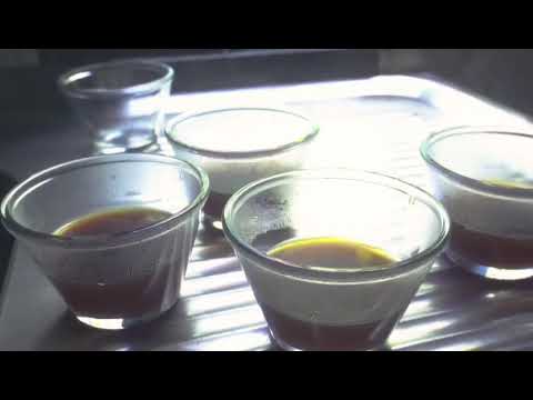 Produtos de Paula Cândido MG