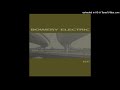 Bowery Electric - floating world