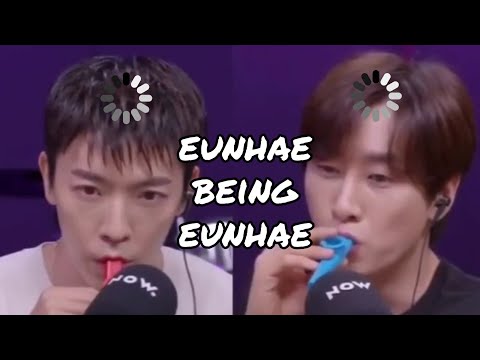 eunhae sharing one brain cell