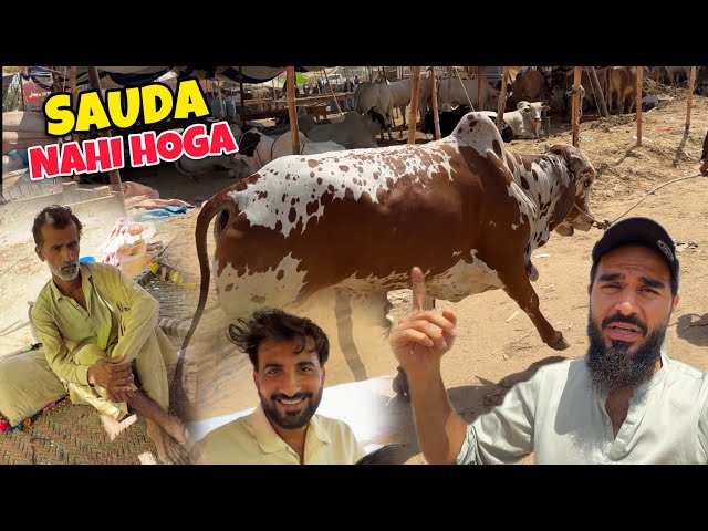Northern bypass mandi mein koi beopari janwar nahi deraha 😳 Sauda nahi banega 😢 SDDEFAULT Thumbnail