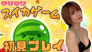 【Live】初見の『スイカゲーム』でスイカ2個目指す生配信【やる気満々】