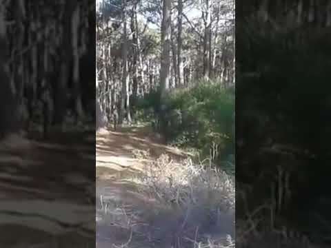 VENDO TERRENO LA AGUADA - ROCHA  (rumbo a La Paloma) 548.18 m2 -  acceso: Ruta 15  - Parada 8