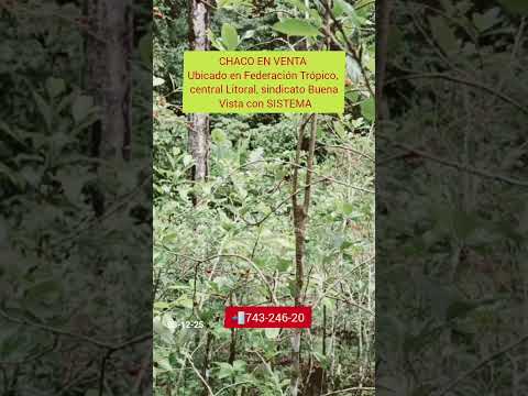 chaco en venta en Villa Tunari #tropico #chaco #lotesenventa #terrenos