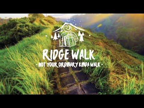 Campuhan Ridge Walk Bali: A Virtual Walking Tour of Ubud's Most Beautiful Views