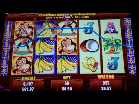 Jungle Monkeys Slot Machine Bonus - 8 Free Games Win with Stacked Wilds