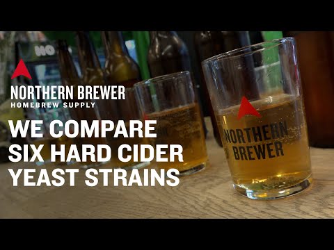 We Compare Six Hard Cider Yeast Strains