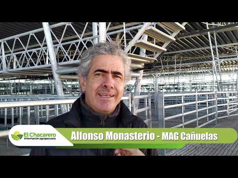 Alfonso Monasterio-Monasterio Tattersall-Mercado Agroganadero MAG-Cañuelas