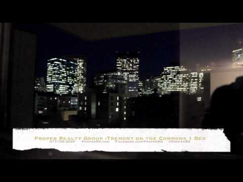 Boston Apartment Tremont on the Commons 1 Bed