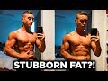 Get Rid of Stubborn Fat! | A Physique Update