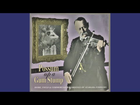 Possum Up A Gum Stump - Home, Field & Commercial Recordings of Alabama Fiddlers