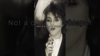 𝙈𝙚𝙖𝙣𝙞𝙣𝙜 𝙊𝙛 𝙏𝙝𝙚 𝙒𝙤𝙧𝙙 | 𝙇𝙖𝙪𝙧𝙖 𝘽𝙧𝙖𝙣𝙞𝙜𝙖𝙣 #80s #lyrics #music #laurabranigan #short #pop #music