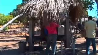 Moradores do Jalapão mantém tradições da época da escravidão