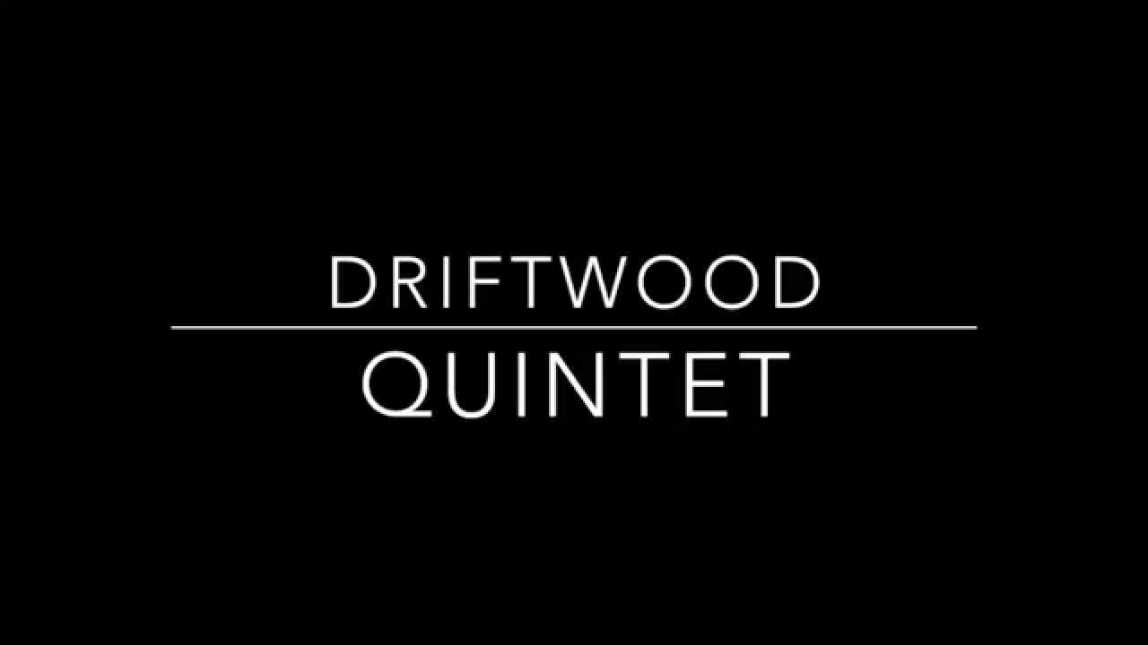 Promotional video thumbnail 1 for Driftwood Quintet